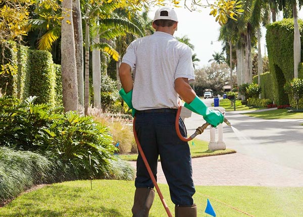About Hamilton NY Pest Control